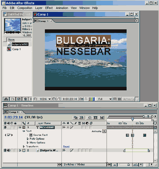   Animator