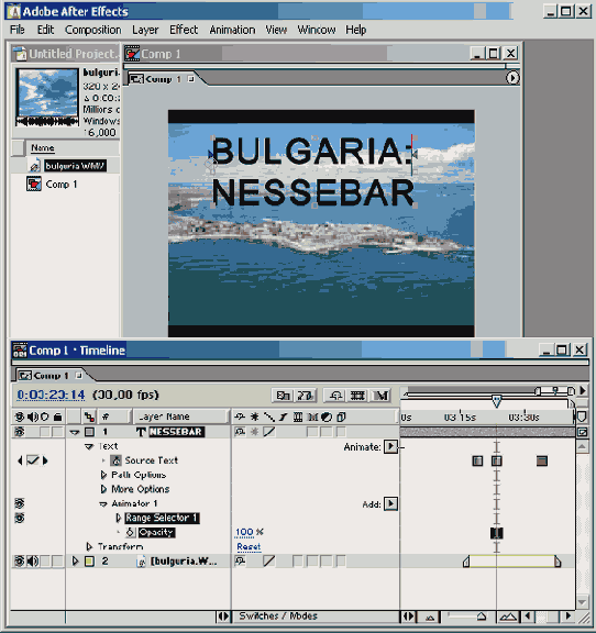   Animator