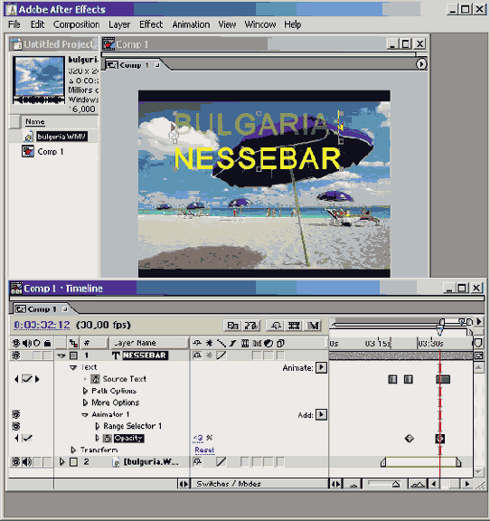   Animator